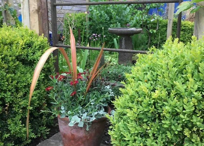 Spacious Somerset - Great Rural Location